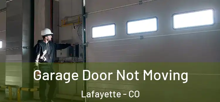  Garage Door Not Moving Lafayette - CO